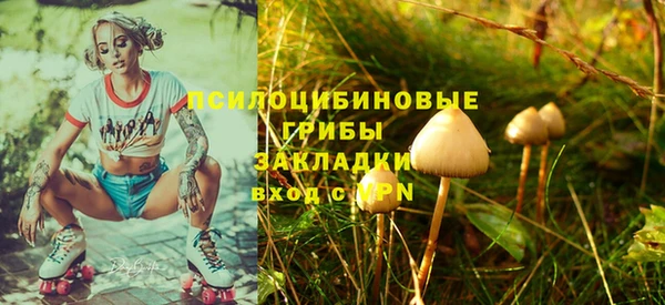 а пвп мука Ладушкин