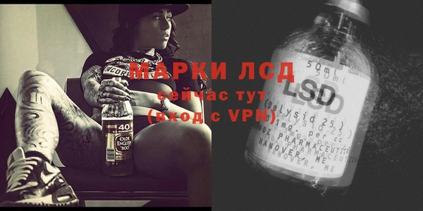 трава Анжеро-Судженск