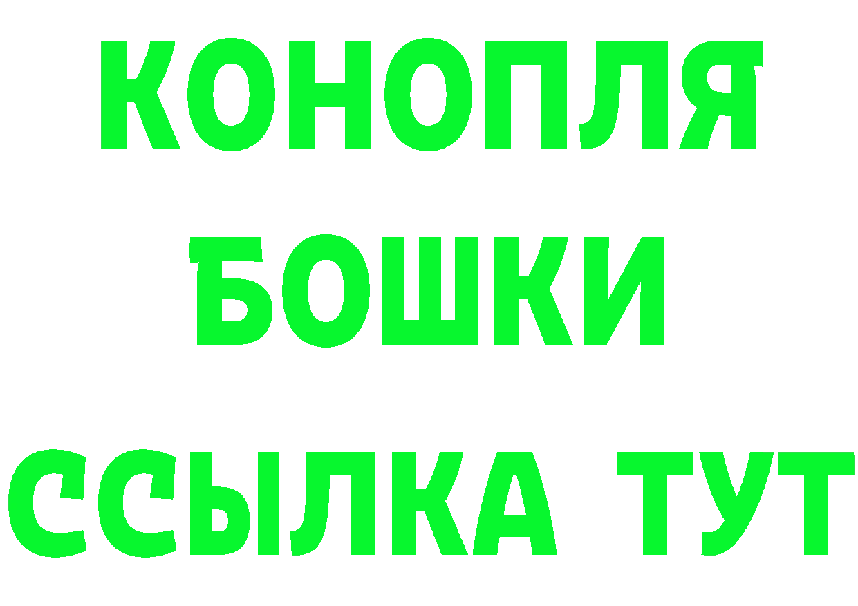 Альфа ПВП СК ТОР площадка ссылка на мегу Лыткарино