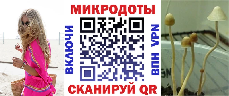 Галлюциногенные грибы Cubensis  где купить наркоту  Лыткарино 