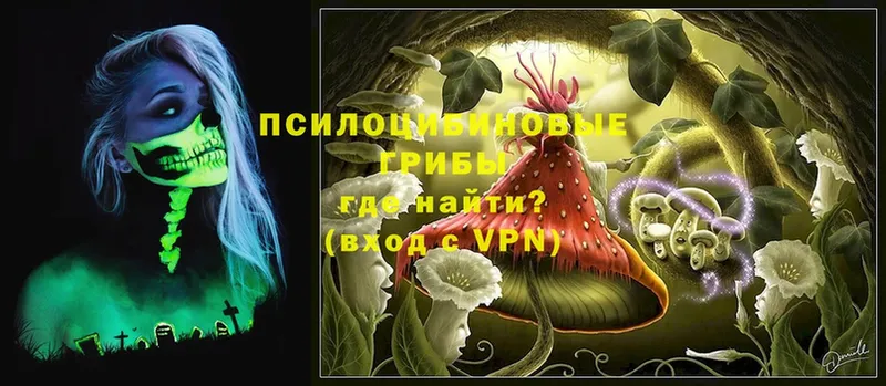 hydra зеркало  Лыткарино  Псилоцибиновые грибы Magic Shrooms 