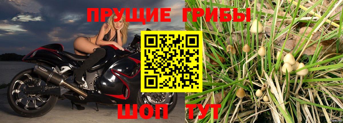 Псилоцибиновые грибы мицелий Лыткарино