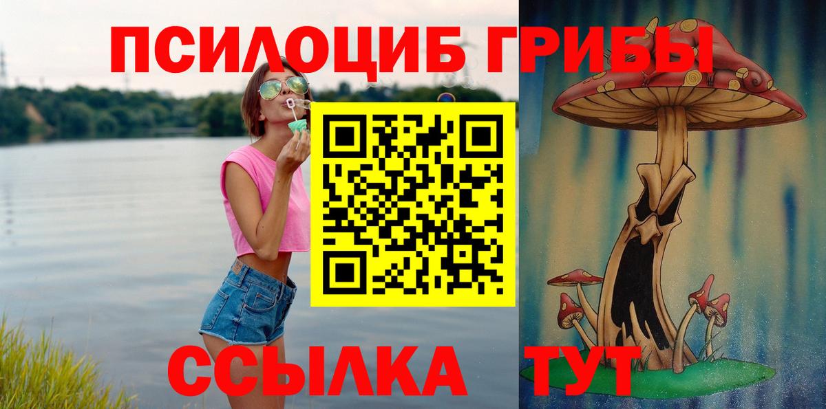 Галлюциногенные грибы Psilocybine cubensis  цены   Галлюциногенные грибы MAGIC MUSHROOMS  Лыткарино  Вход с VPN 